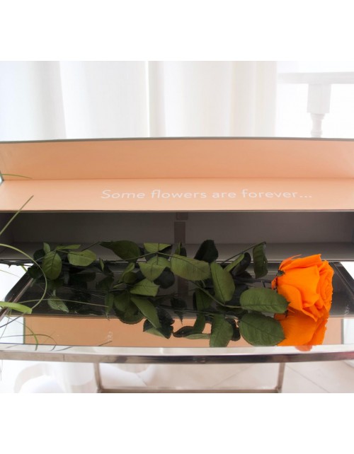 ESTUCHE  ROSA  PRESERVADA