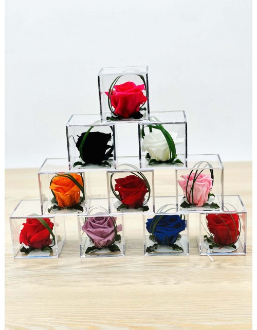ROSA PRESERVADA MELCHOR ROUGE