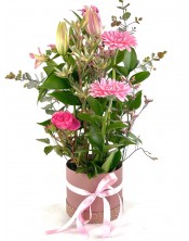 BOMBON FLOR ALTO