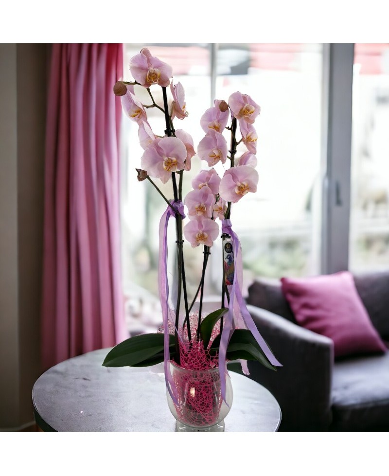 PLANTA ORQUIDEA 3 TALLOS