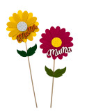 PICK MAMA FLOR