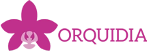Orquidida Flors – Elisabet Pou Cortina