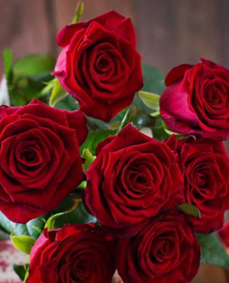 rosas